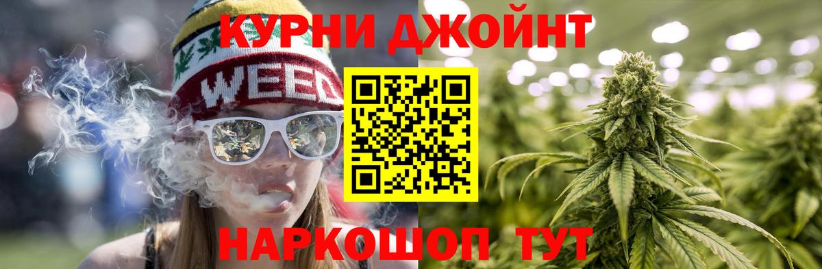 Конопля семена  Канабис гибрид  Ефремов  Конопля Bruce Banner  Вход с VPN 